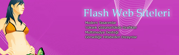 flash web tasarım