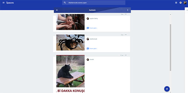 spaces görünüm